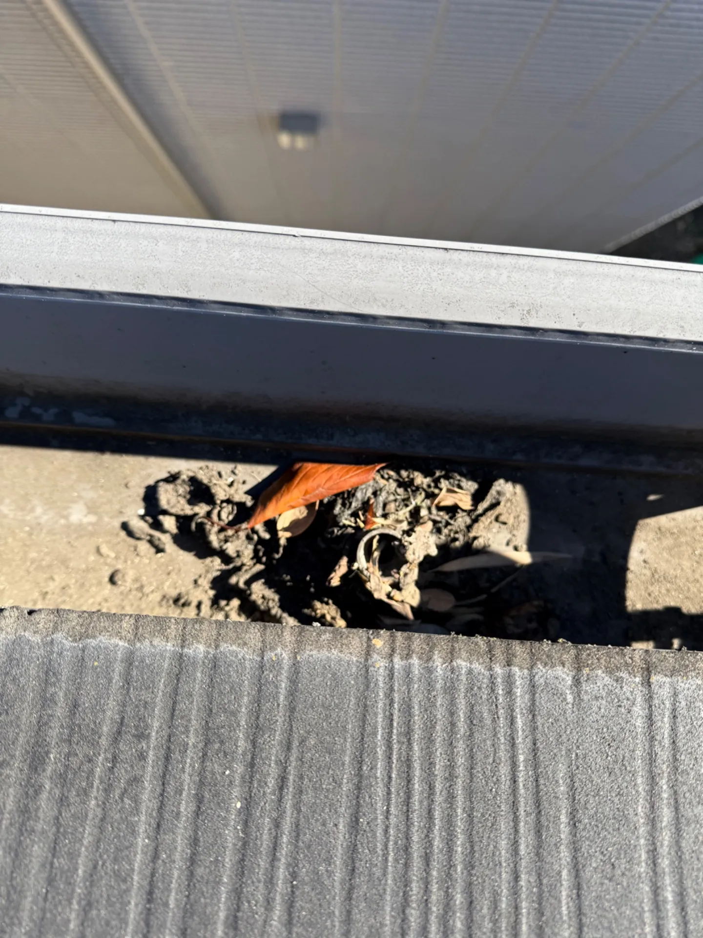 【施工事例】雨樋の清掃作業