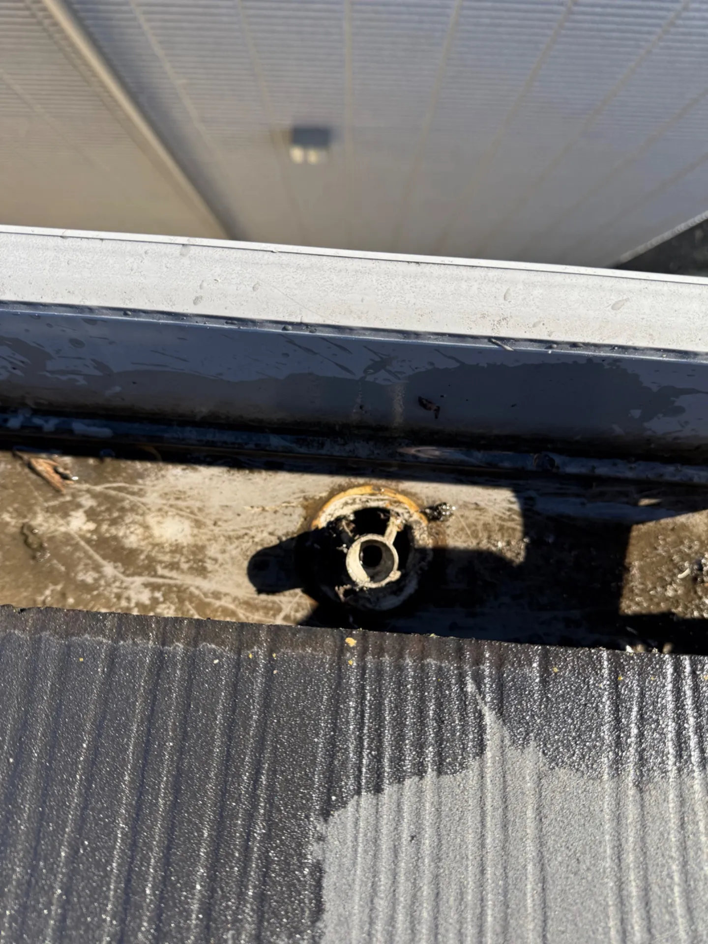 【施工事例】雨樋の清掃作業